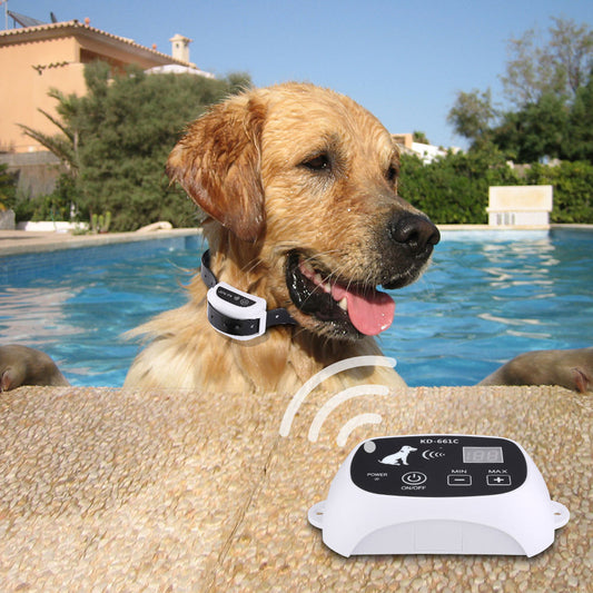 PetSecure – La liberté de bouger, la sécurité assurée.