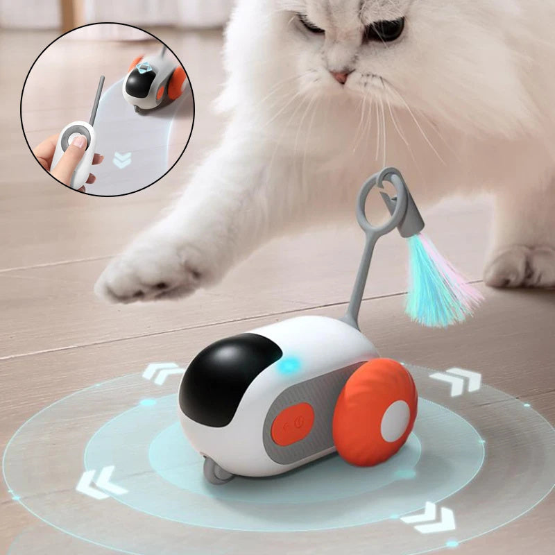 Gadgets & Accessoires Animaux